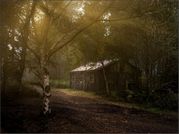 Steven Docwra - Cabin in the woods